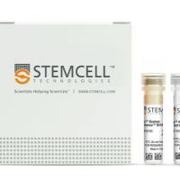 STEMCELL Technologies	 17972	EasySep™ Human ILC2 Enrichment Kit /EasySep™人ILC2细胞富集试剂盒