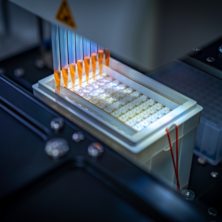 Scienova透析管是透析方法中效率显著的产品