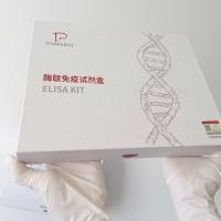 人环磷酸鸟苷(cGMP)ELISA试剂盒操作步骤