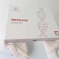 人解整合素样金属蛋白酶33(ADAM33)ELISA试剂盒价格