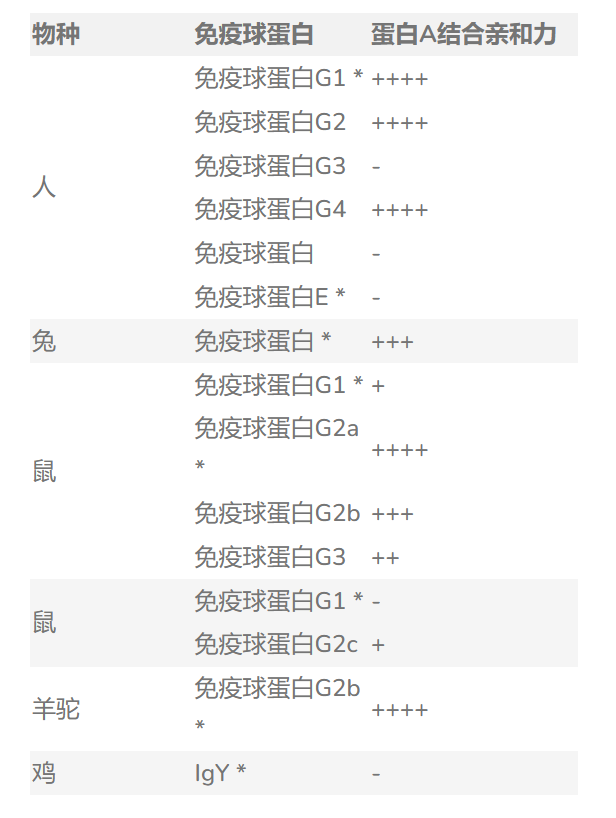 PtX™ Protein A (HRP)