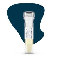 PtX™ Human ACE-2 (Fc tag)