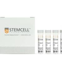 STEMCELL Technologies  19053  EasySep™ Human CD8+ T Cell Enrichment Kit /EasySep™人CD8+ T细胞富集试剂盒