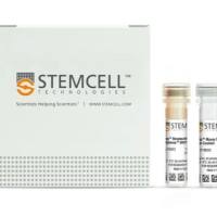 STEMCELL Technologies  19855  EasySep Mouse NK Cell Isolation Kit/EasySep小鼠NK细胞免疫磁珠分选试剂盒