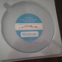 Whatman   112105   Nuclepore径迹蚀刻膜112105聚碳酸酯膜0.1um