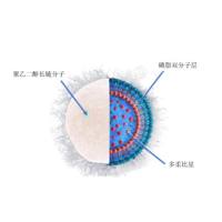 PEG化脂质体 聚乙二醇磷脂LNPs递送系统辅料