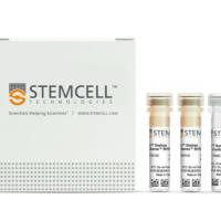 STEMCELL Technologies  17969  EasySep™ Human Basophil Isolation Kit/EasySep™人嗜碱性粒细胞分选试剂盒