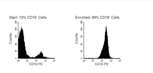 STEMCELL Technologies  19054  