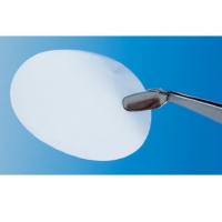 Whatman  111703  聚碳酸酯膜NUC PC 90MM 0.05uM 25/PK