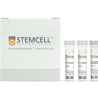 STEMCELL Technologies  19052  EasySep™ Human CD4+ T Cell Enrichment Kit /EasySep™人CD4+细胞富集试剂盒