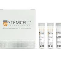 STEMCELL Technologies 19054 EasySep™ Human B Cell Enrichment Kit /EasySep™人B细胞富集试剂盒
