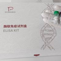 人激动异构酶/细胞分裂素MB(CKMB)ELISA试剂盒价格