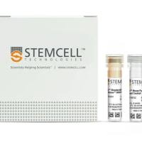 STEMCELL Technologies  19875	EasySep™ Mouse Pan-ILC Enrichment Kit/EasySep™小鼠Pan-ILC富集试剂盒