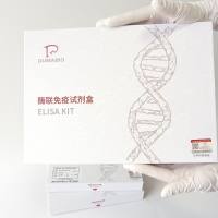 人白三烯B4(LTB4) ELISA试剂盒操作步骤