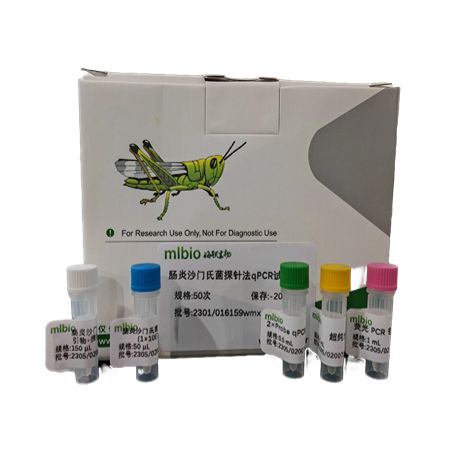 刚果嗜皮菌染料法荧光定量PCR试剂盒