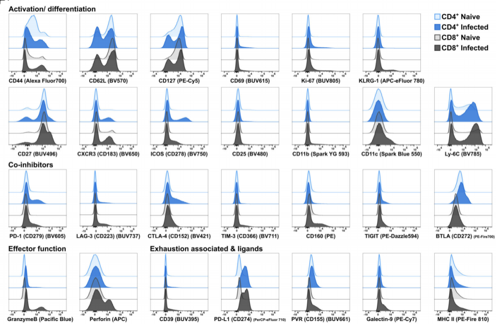 Big Panel Theory系列之—41色小鼠淋系/髓系细胞分析方案
