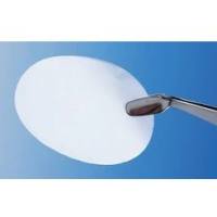 Whatman10418704聚碳酸酯膜NUC PC 19MM 1.0uM 100/PK