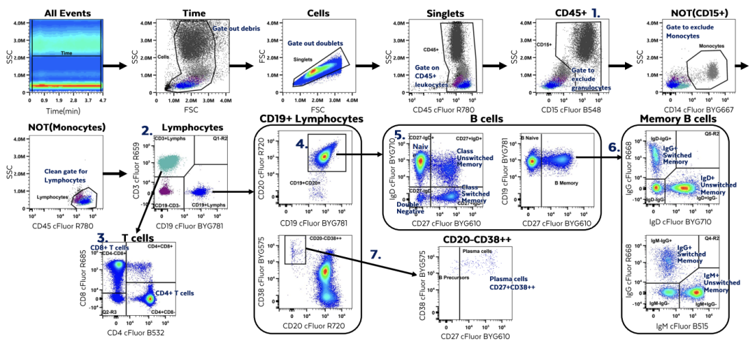 评估2激光13色B细胞方案--监测人类B细胞亚群（附验证数据）