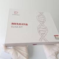 人白介素27(IL-27)ELISA试剂盒操作步骤