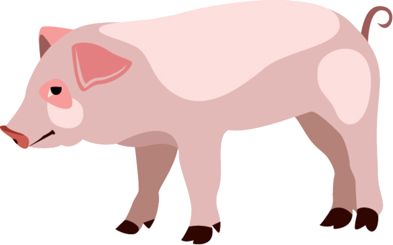 自身不得糖尿病？小型猪糖尿病模型构建、验证看这里！