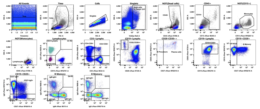 评估2激光13色B细胞方案--监测人类B细胞亚群（附验证数据）