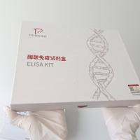 人表皮生长因子(EGF)ELISA试剂盒操作步骤