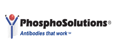  PhosphoSolutions 神经科学研究、信号转导、蛋白磷酸化检测抗体授权总代理
