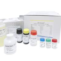 幽门螺旋杆菌ELISA检测试剂盒