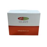 即用型高效免疫组化二抗试剂盒