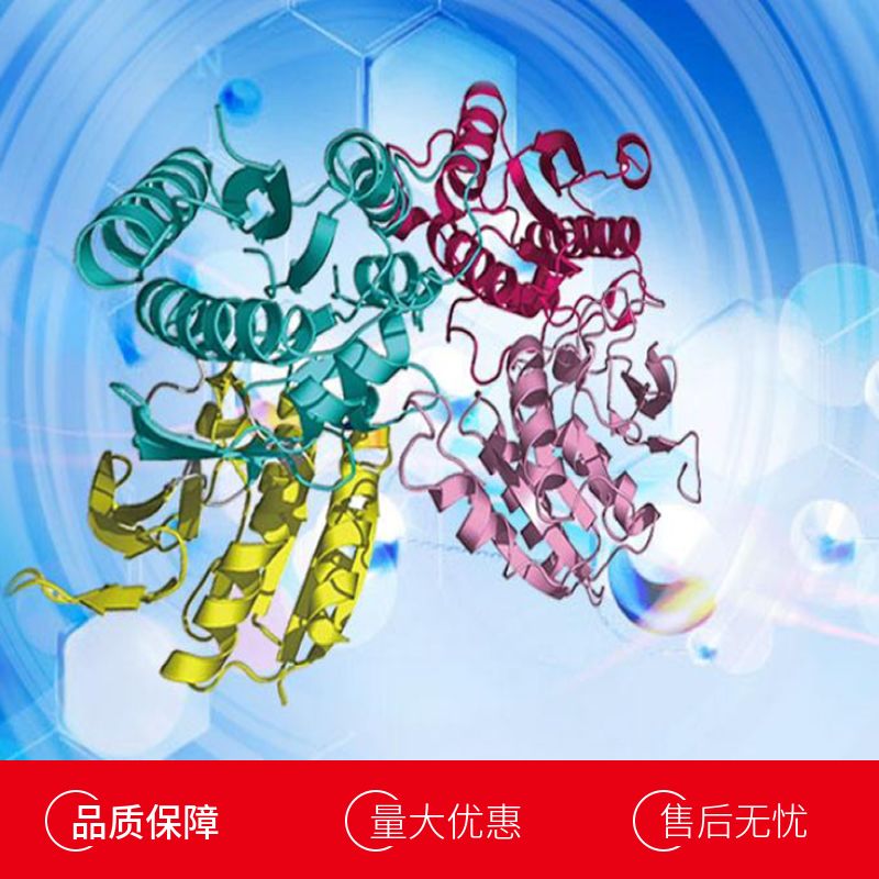 小鼠巨噬细胞炎性蛋白1α(MIP1a)重组蛋白