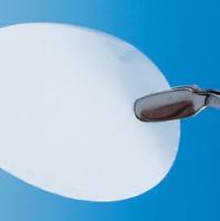 Whatman  10417304  径迹蚀刻膜NUC PC 19MM 0.8uM 100/PK