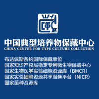 白喉棒杆菌 Corynebacterium diphtheriae(CCTCC AB 2010172)