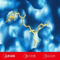 人白介素12A(IL12A)重组蛋白