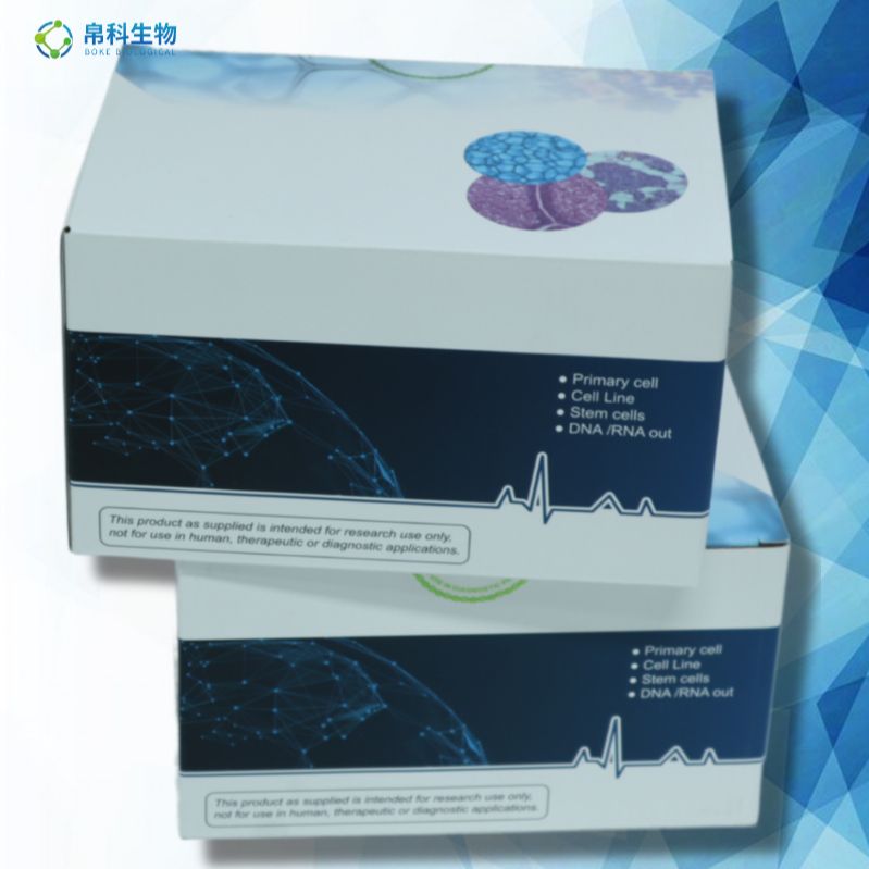 防御素β125(DEFβ125)ELISA试剂盒产品图