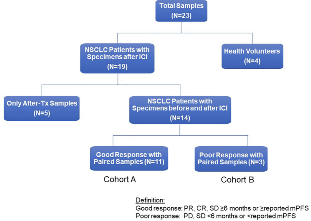 应用实例--利用经典3激光24色精细免疫分型方案评估NSCLC中免疫检查点抑制剂的治疗效果