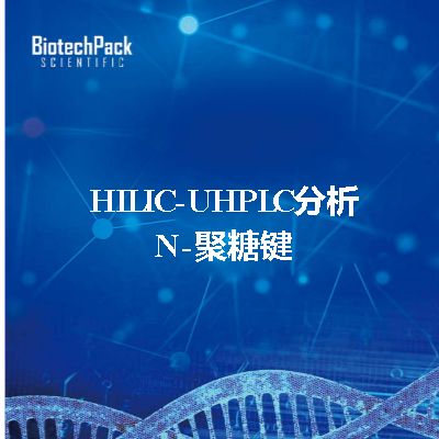 HILIC-UHPLC分析N-聚糖键