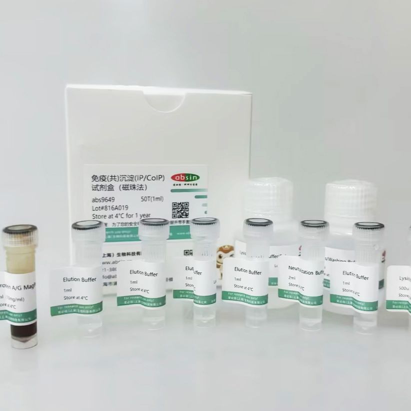 蛋白A/G磁珠IP试剂盒；免疫(共)沉淀(IP/CoIP)试剂盒