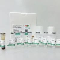 蛋白A/G磁珠IP试剂盒；免疫(共)沉淀(IP/CoIP)试剂盒