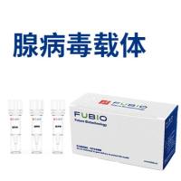 腺病毒过表达/干扰/敲除载体