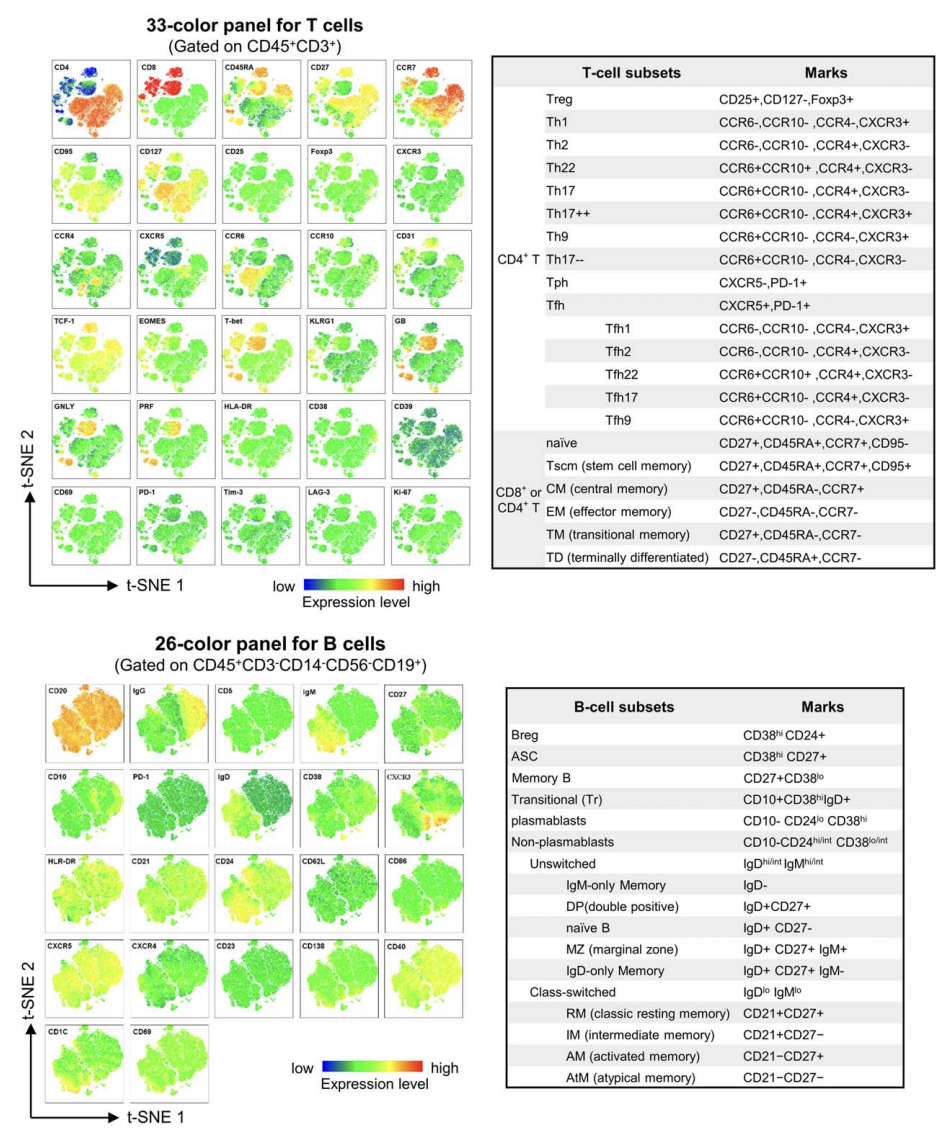 丙肝治愈后遗留“免疫疤痕”影响乙肝疫苗应答，全光谱流式33/26色方案带您探索内在机制