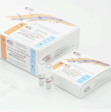 蛋白-羧基小分子药物偶联试剂盒