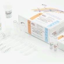 抗体 Mertansine (DM1) 偶联试剂盒