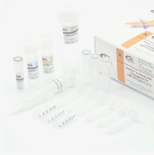 蛋白-MMAE偶联试剂盒