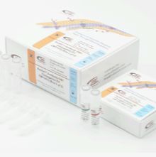 蛋白-DM1偶联试剂盒