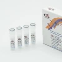 体积排阻色谱（凝胶过滤）HPLC 蛋白质标准品（7 种成分，冻干）