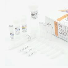 血蓝蛋白（KLH）-多肽偶联试剂盒