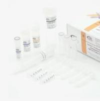 KLH-Digoxigenin-偶联物