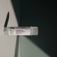 Human PBMC细胞(分离冻存服务)19121878899上海睿安生物