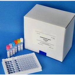 铁蛋白测定试剂盒(化学发光法)