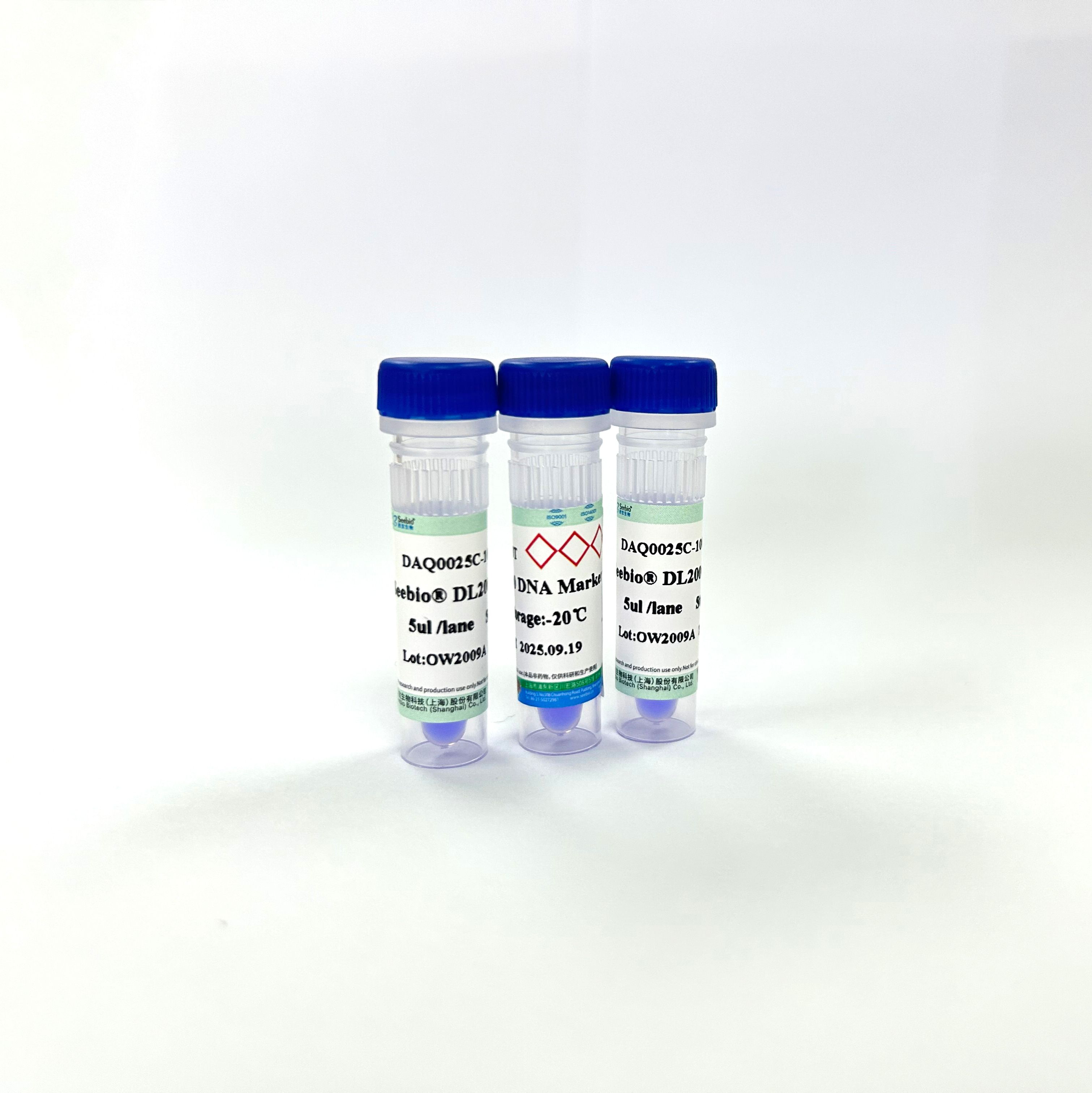 Seebio® DL2000 DNA Marker